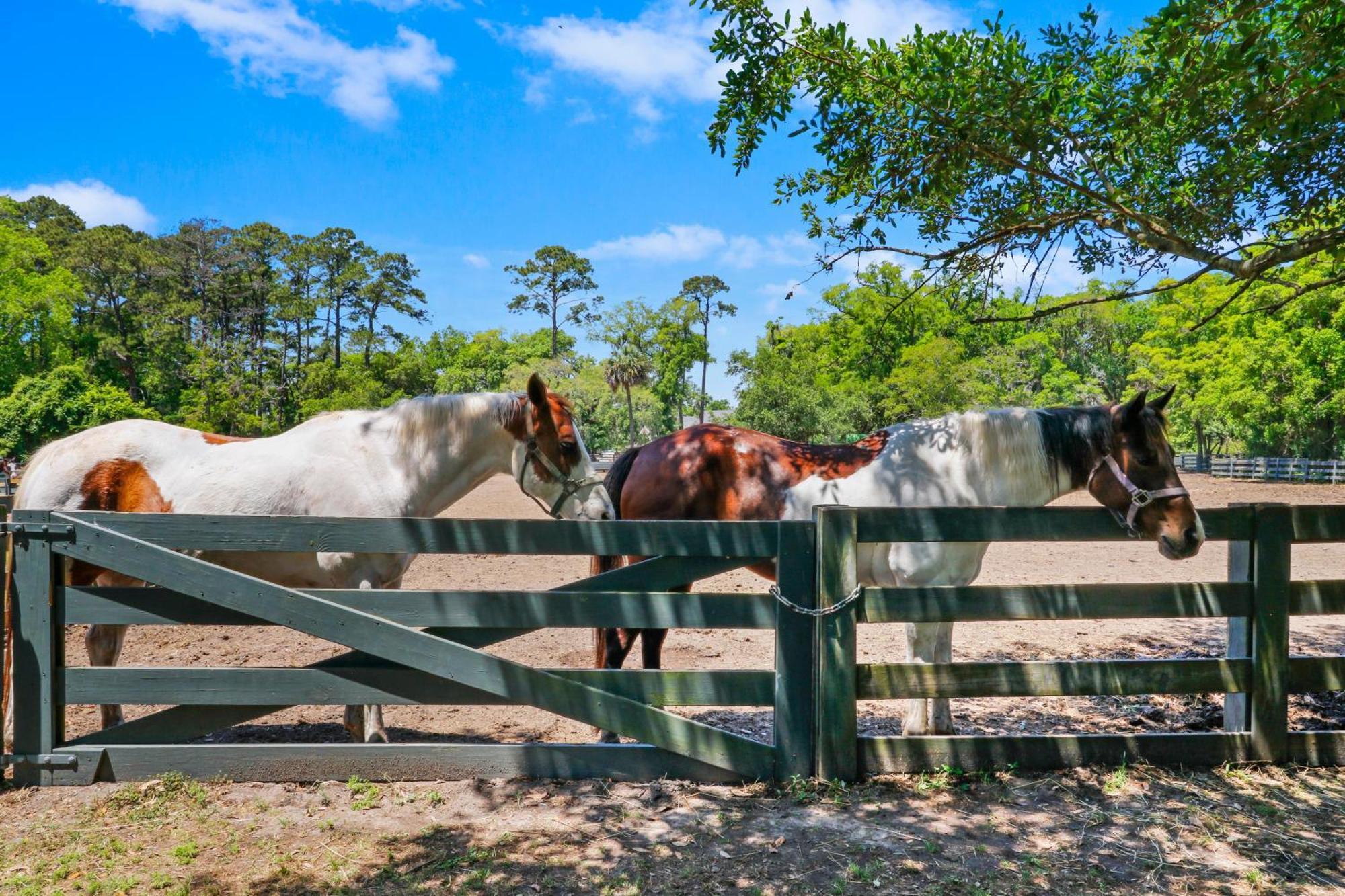 5 Rice Lane Villa Hilton Head Island Ngoại thất bức ảnh